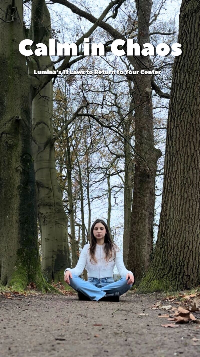 Calm in Chaos book cover